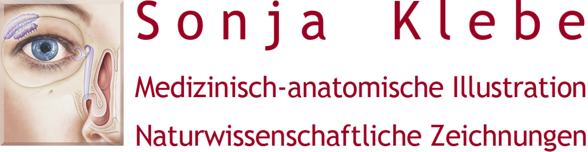 Sonja Klebe